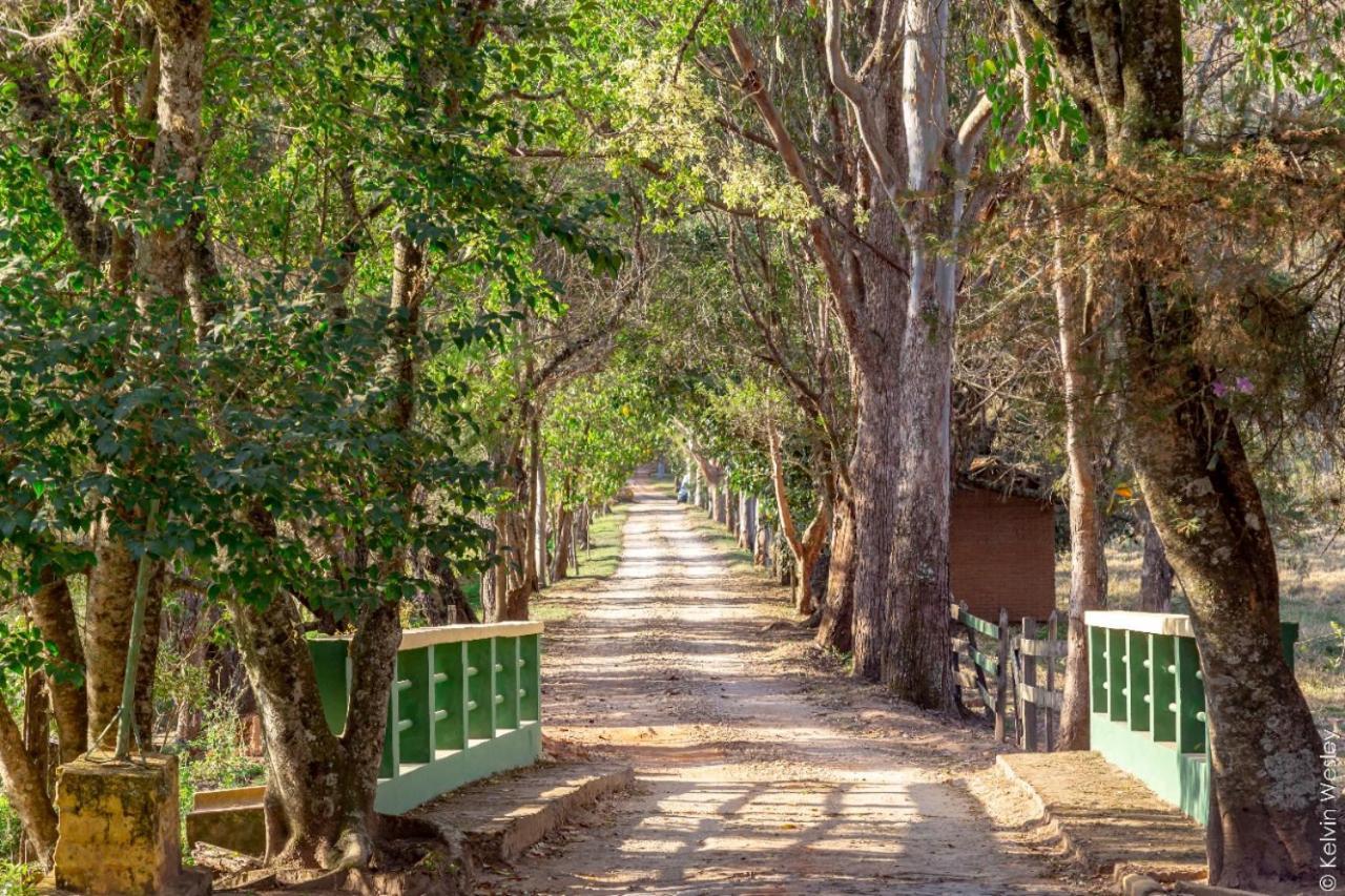 Do Sitio Sao Bento do Sapucai